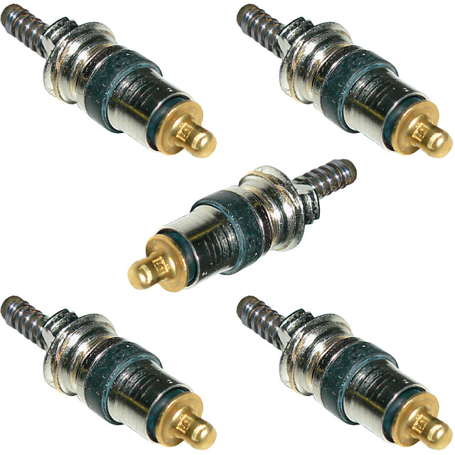 5 Pk Valve Core - Renault MT1529