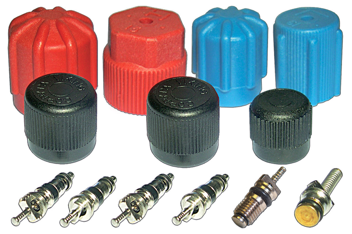 Cap & Valve Kit (see Application Guide) MT2903