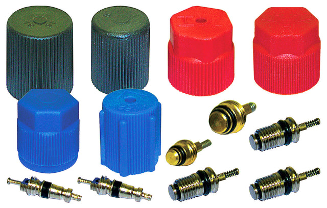 Cap & Valve Kit (see Application Guide) MT2906