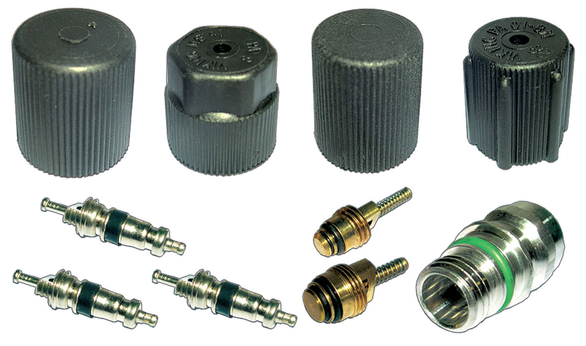 Cap & Valve Kit (see Application Guide) MT2908