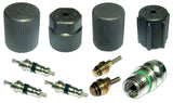 Cap & Valve Kit (see Application Guide) MT2908