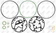 Diesel Kiki (Zexel) Dks17Ch Gasket Kit Mt2269 Air Conditioning