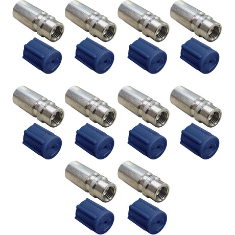 10 Pk REPL Valve - R134A Low Side Primary Seal MT0145-10