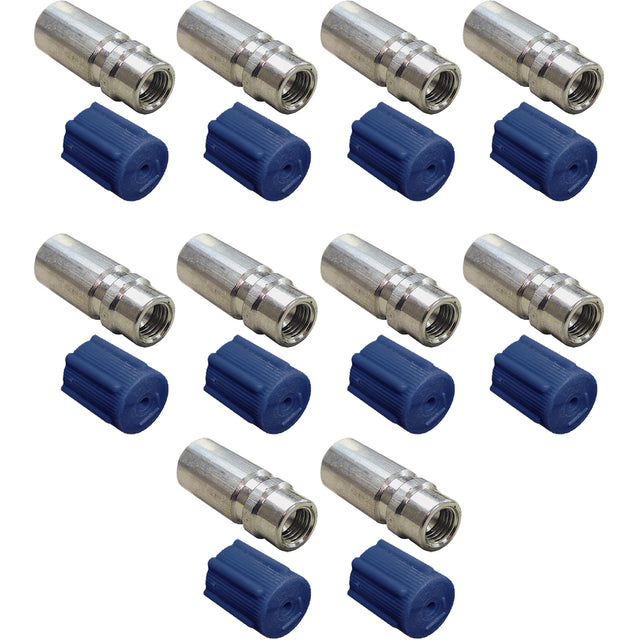 10 Pk REPL Valve - R134A Low Side Primary Seal MT0145-10