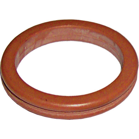 25 Pk, Renault Double O-ring #10 MT1102