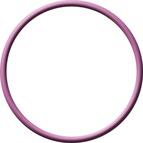20 Per, Purple HNBR O-ring-europe,ford,seat,vw-int MT1303