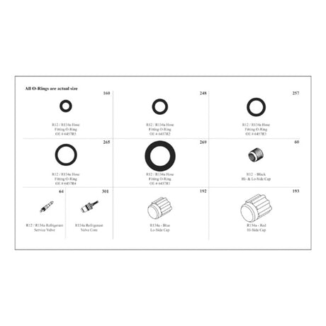 Citroen / Peugeot Complete Service Kit MT9525